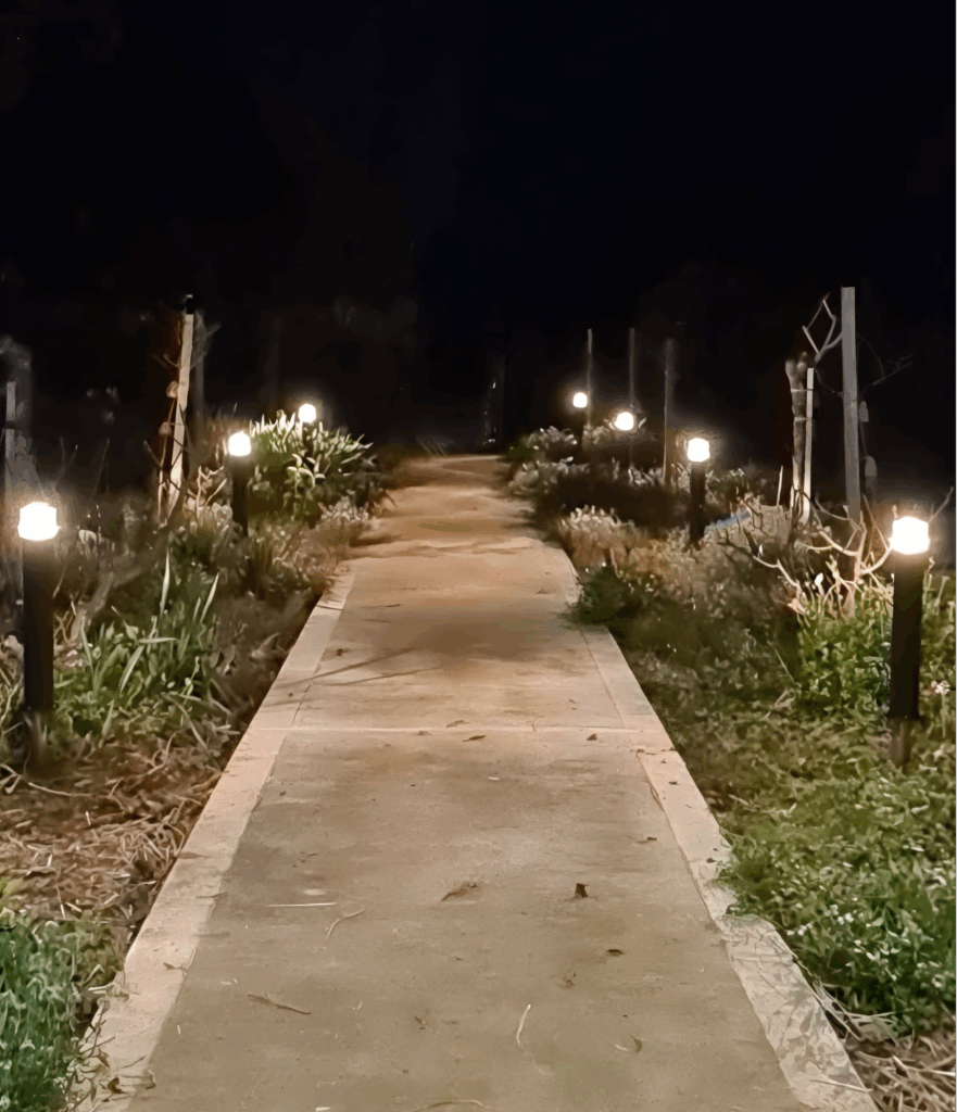 Home in Tamworth - electrical pathway lights illuminating a garden walkway at night