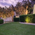 outdoor lighting installed at a tamworth home