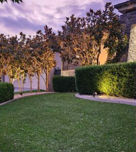 outdoor lighting installed at a tamworth home