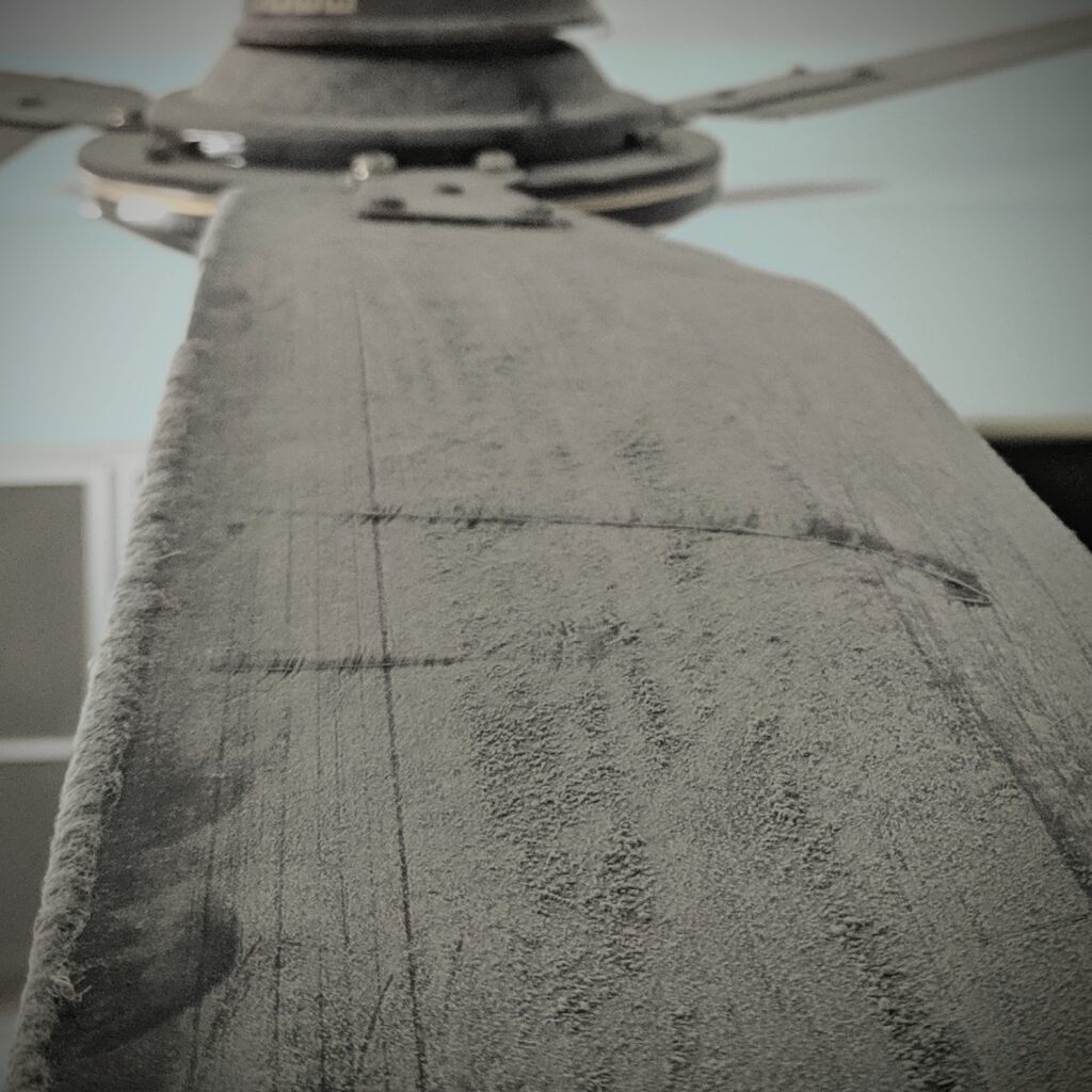 ceiling fan cleaning hacks for dirty ceiling fan in tamworth home or business